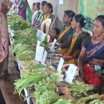 रानभाज्या२ - Grampanchayat Masale
