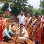 plantation - Grampanchayat Masale